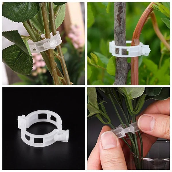 Planteclips til klatreplanter – Plastikbindere til tomater og slyngplanter 🌱🍅