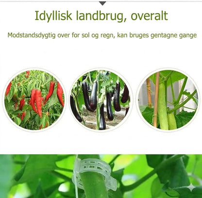 Planteclips til klatreplanter – Plastikbindere til tomater og slyngplanter 🌱🍅