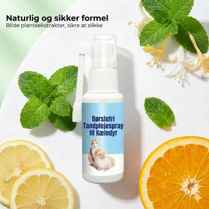 Tandplejespray til kæledyr
