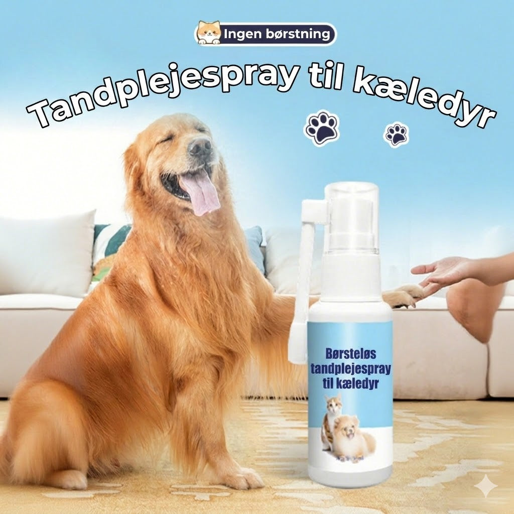 Tandplejespray til kæledyr
