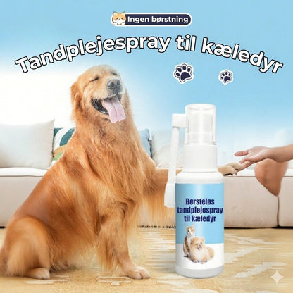 Tandplejespray til kæledyr