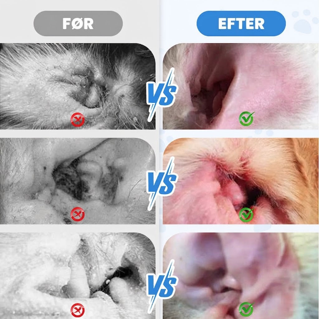🐾 KØB 2, FÅ 1 GRATIS! ✨ Ørerens til kæledyr – Mild formel med beroligende aloe vera til hunde og katte, forebygger infektioner og dårlig lugt 🌿👂