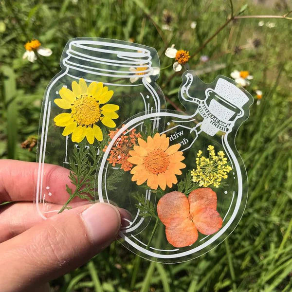 🍃 Transparente Naturklistermærker
