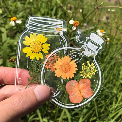 🍃 Transparente Naturklistermærker