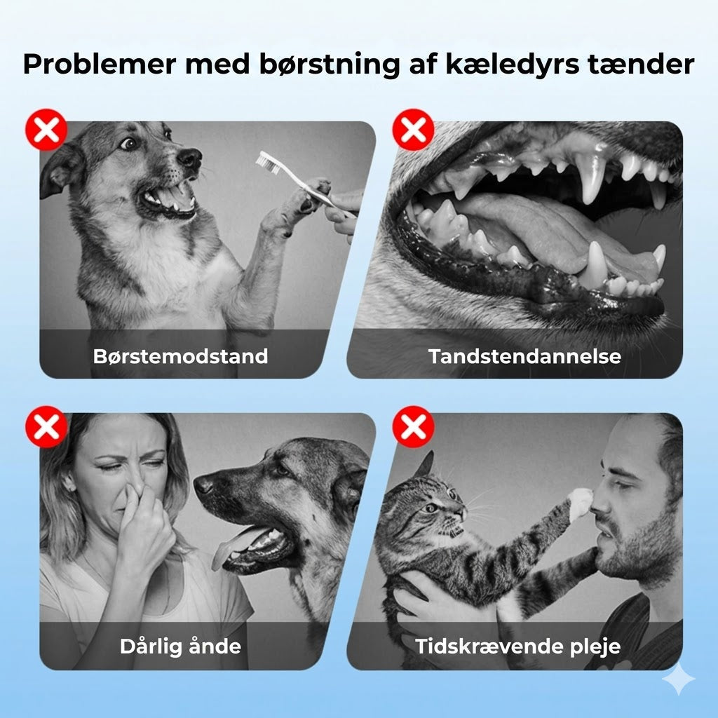 Tandplejespray til kæledyr