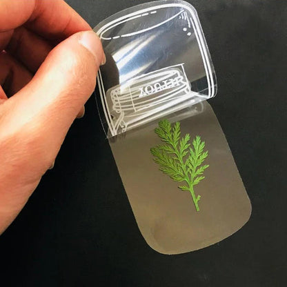 🍃 Transparente Naturklistermærker