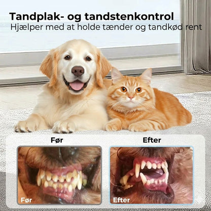 Tandplejespray til kæledyr