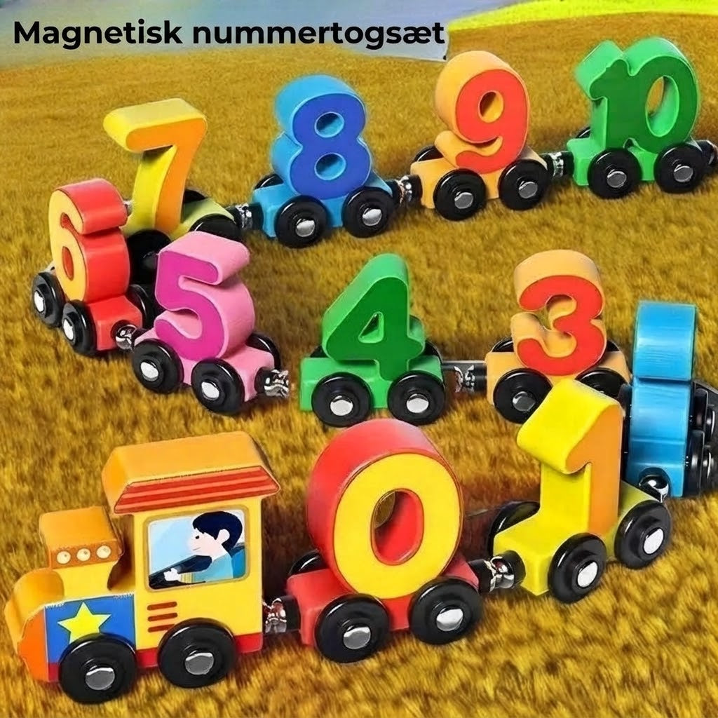 Magnetisk taltog-sæt