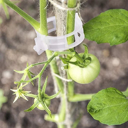 Planteclips til klatreplanter – Plastikbindere til tomater og slyngplanter 🌱🍅