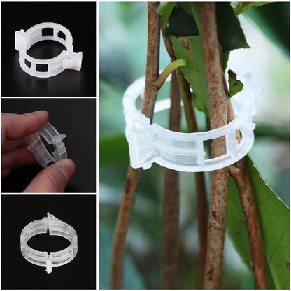 Planteclips til klatreplanter – Plastikbindere til tomater og slyngplanter 🌱🍅