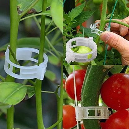 Planteclips til klatreplanter – Plastikbindere til tomater og slyngplanter 🌱🍅