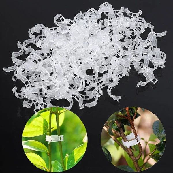 Planteclips til klatreplanter – Plastikbindere til tomater og slyngplanter 🌱🍅
