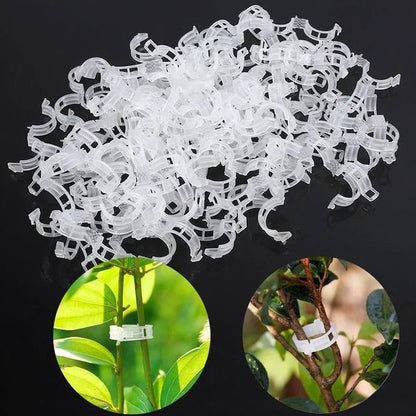 Planteclips til klatreplanter – Plastikbindere til tomater og slyngplanter 🌱🍅