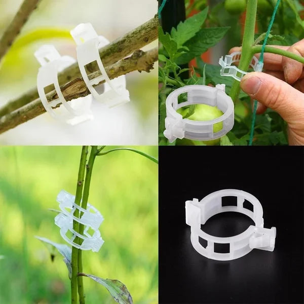 Planteclips til klatreplanter – Plastikbindere til tomater og slyngplanter 🌱🍅